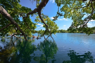 Superficie del cenote
